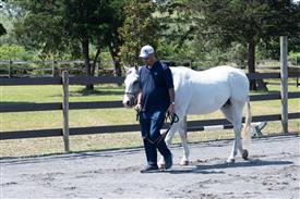 LR-WRF 08022025-Retreat-3171